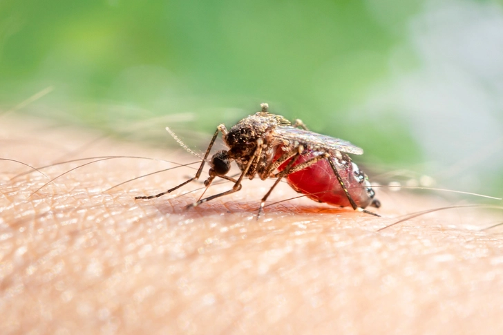 Avoid Cuts, Scratches, and Bug Bites
