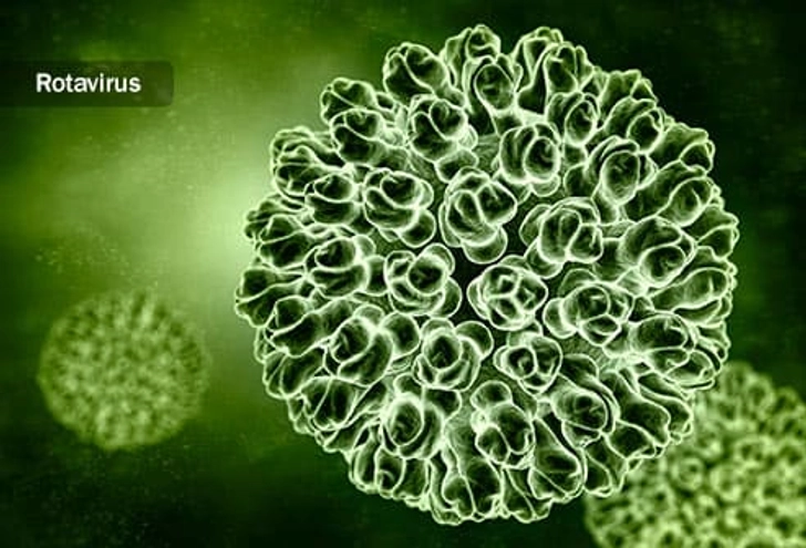Types of Viruses Types of Viruses