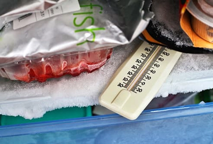 Food Safety