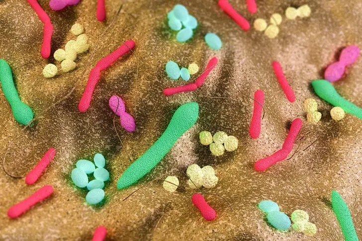 Helpful Germs