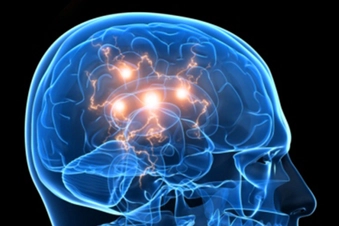 Gut Bacteria and Your Brain Gut Bacteria and Your Brain