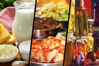 Sources of Probiotics Sources of Probiotics
