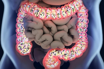Gut Microbiome Gut Microbiome