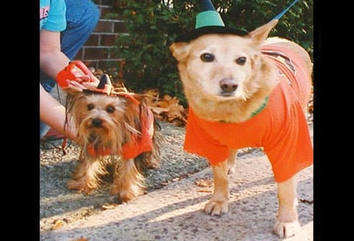 Tiffany and Corky
