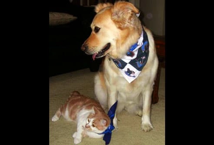 Charlie (cat), Lilly (dog)
