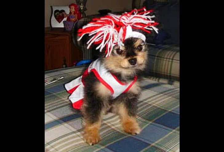 Gidget Gidget