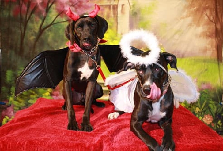 Raider and Charlie Raider and Charlie