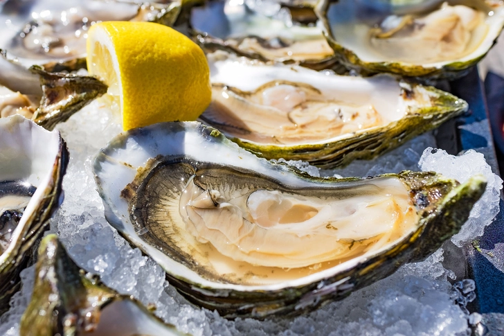 Oysters