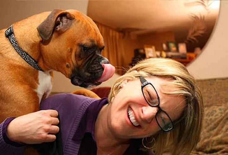 Find a Furry Friend
