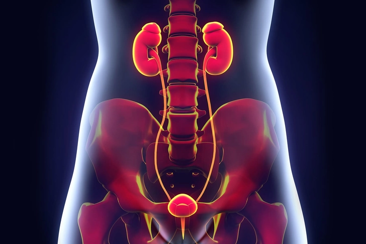 Urinary Tract Infection Urinary Tract Infection