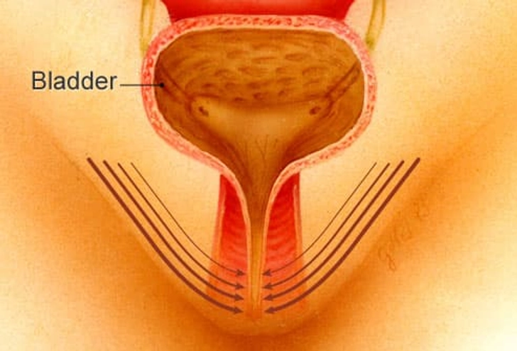 Kegel Exercises Kegel Exercises