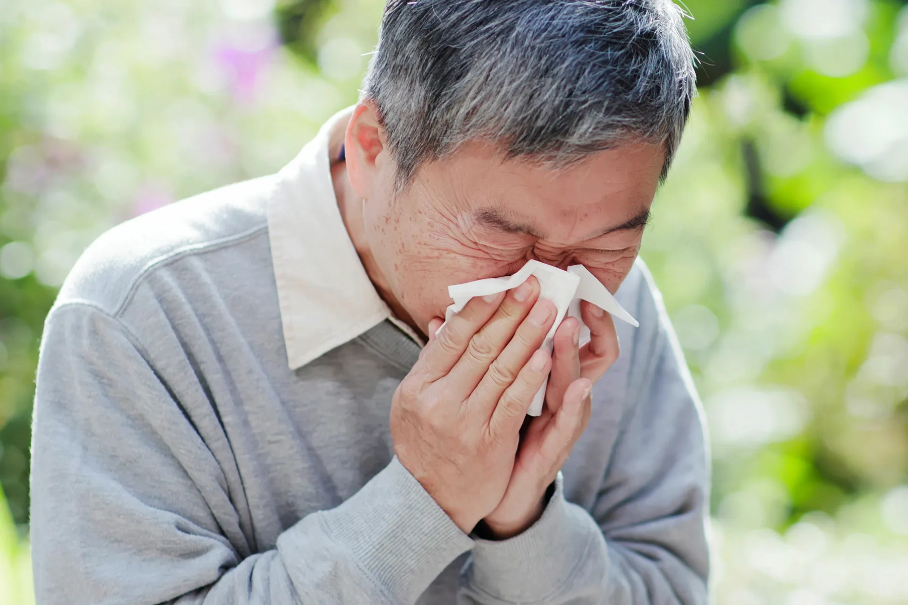 photo of mature man sneezing