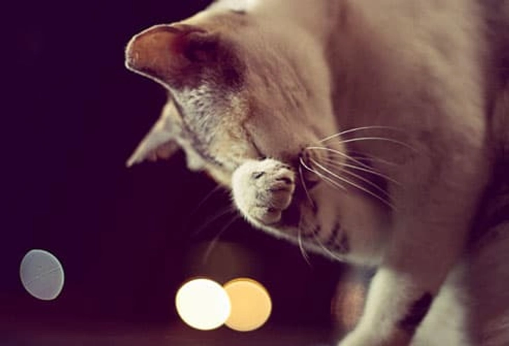 Sneezing