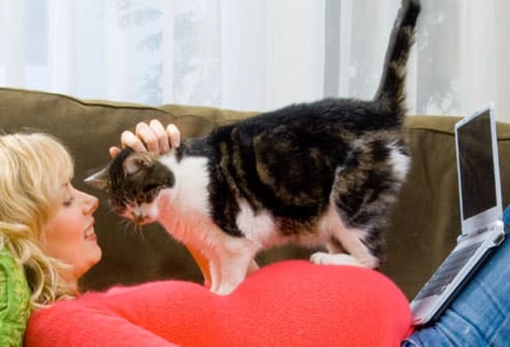 Kneading