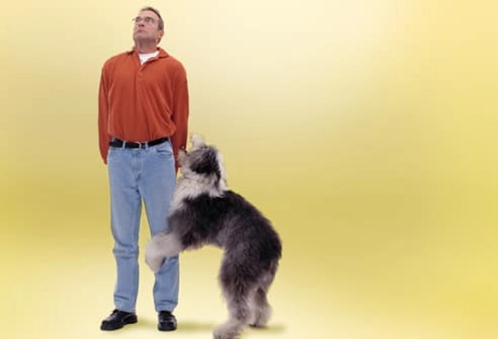 Humping