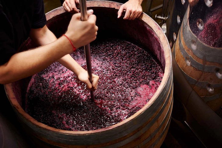 What About Tannins?