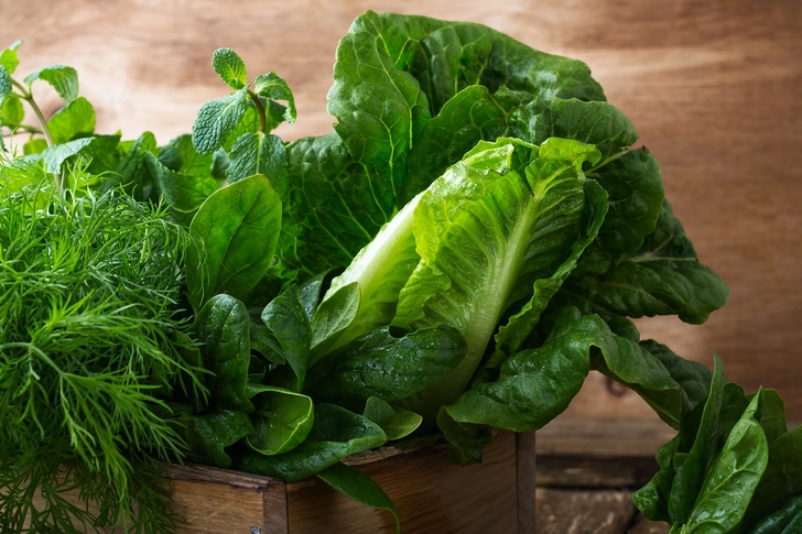 Leafy Greens Leafy Greens
