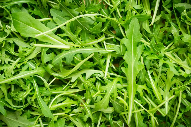 Arugula