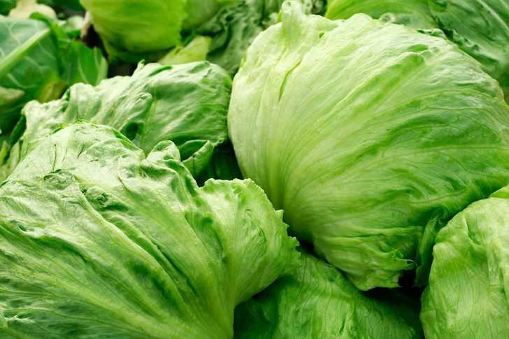 Iceberg Lettuce