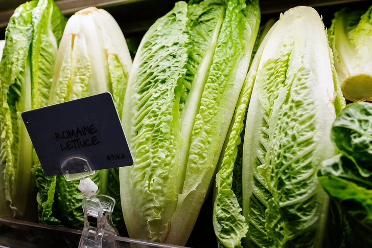 Romaine