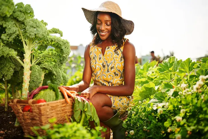 What’s So Great About Greens?