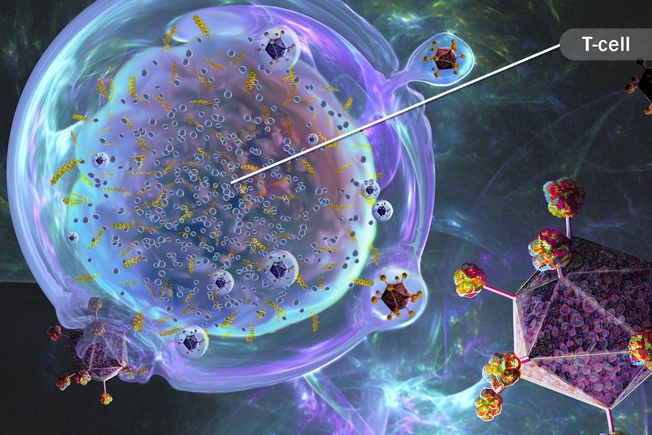 CAR T-Cell Therapy CAR T-Cell Therapy