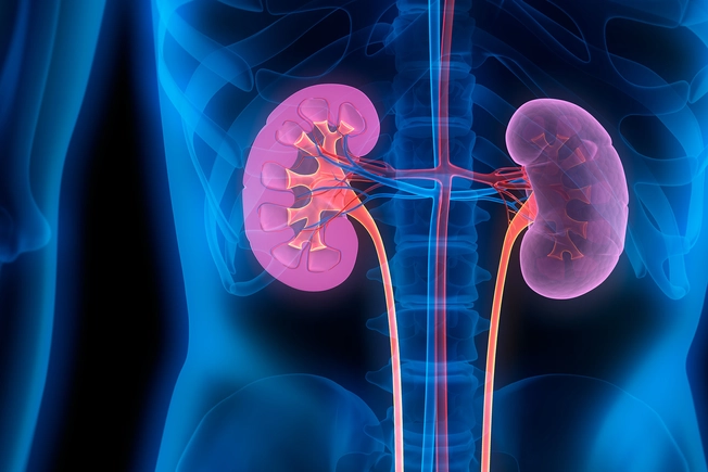 T-Cell Therapy: Voclosporin T-Cell Therapy: Voclosporin