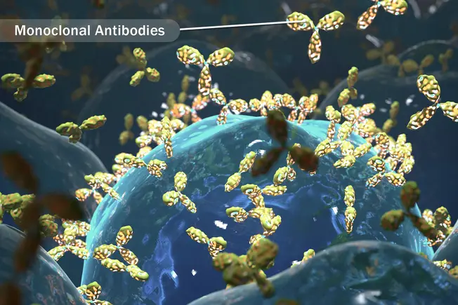 Monoclonal Antibodies: Benlysta Monoclonal Antibodies: Benlysta