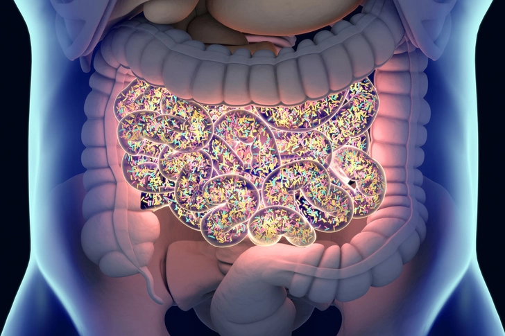 The Bacteria in Your Gut Could Stop Your Symptoms