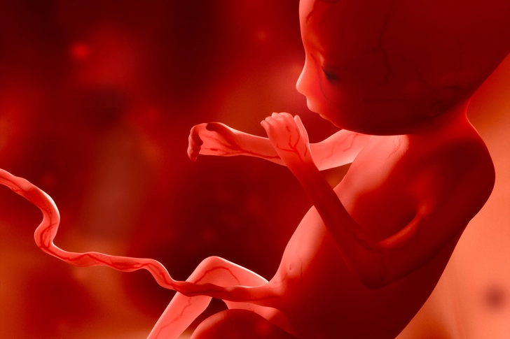 Handedness in the Womb
