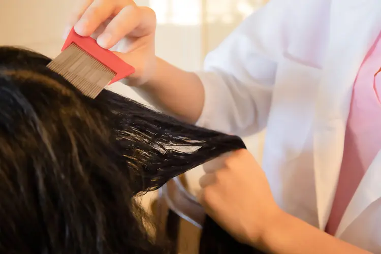 photo of professional head lice treatment