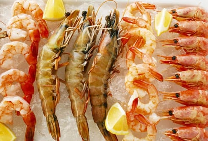 Shellfish, Fish, Anaphylaxis