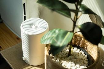 Use a Humidifier in Dry Rooms