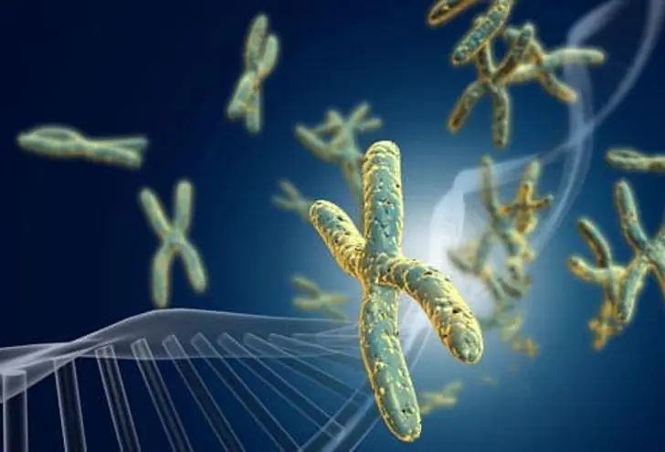 Protect Your DNA Protect Your DNA
