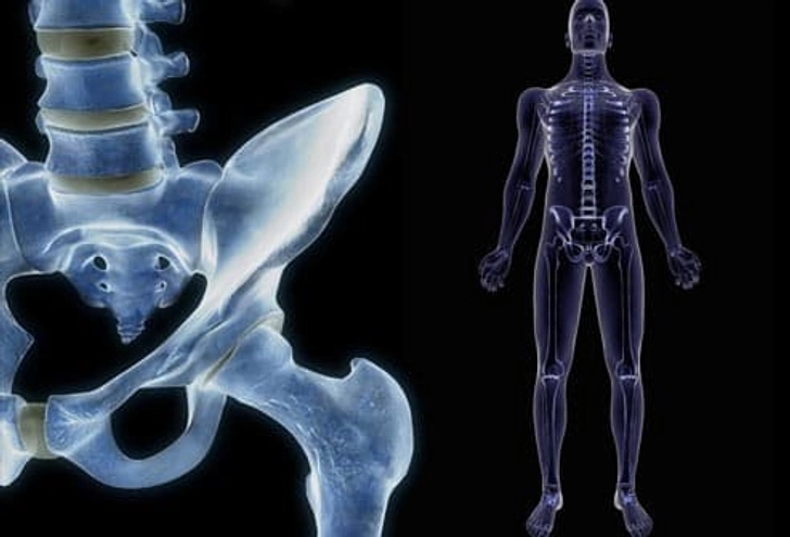 Low Testosterone Affects Bones Low Testosterone Affects Bones