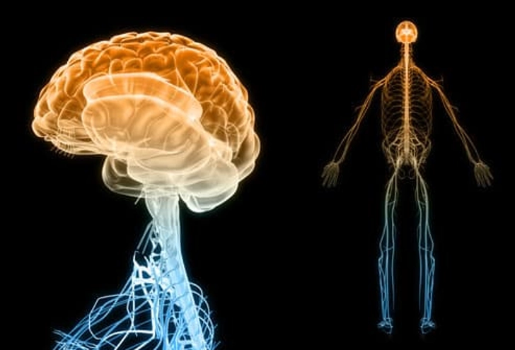 Lupus and the Nervous System Lupus and the Nervous System