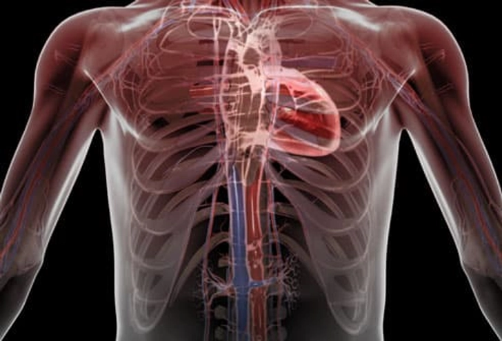Lupus and Heart Problems