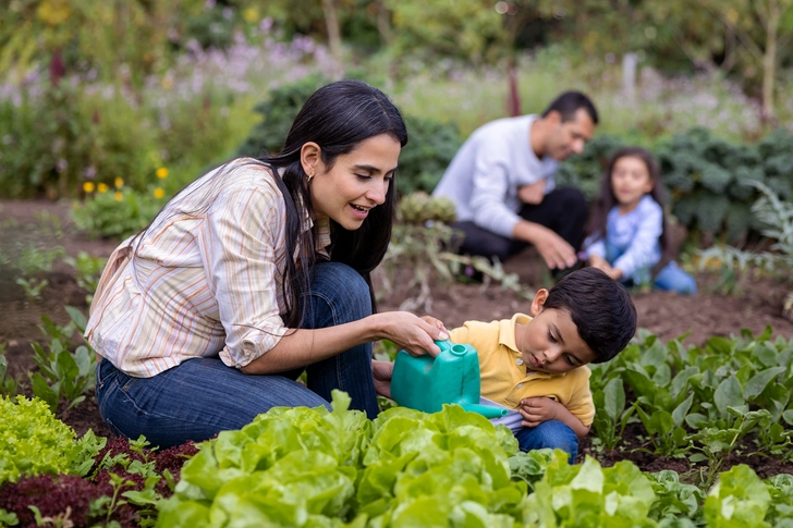 Exercise as a Family