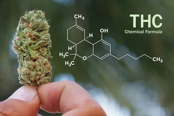 สูตรเคมีของ THC