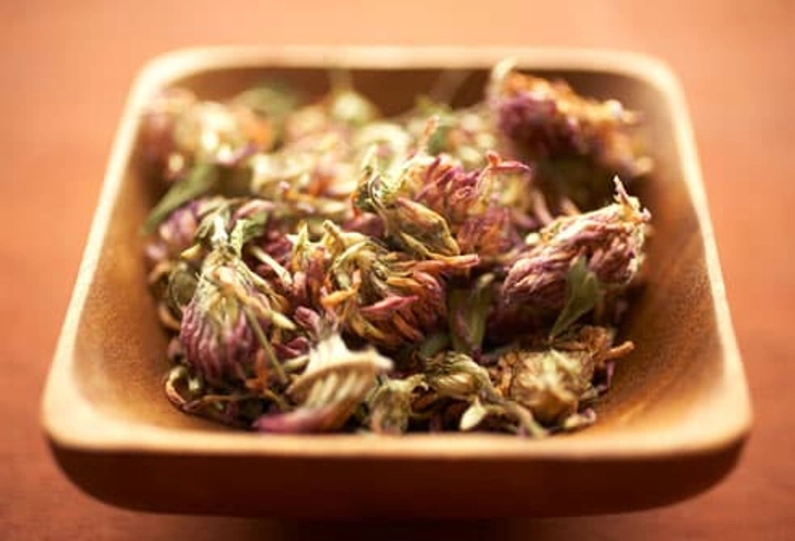 Alternative Treatments