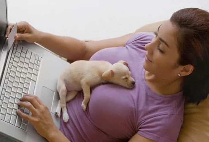You Don't Socialize Young Pets