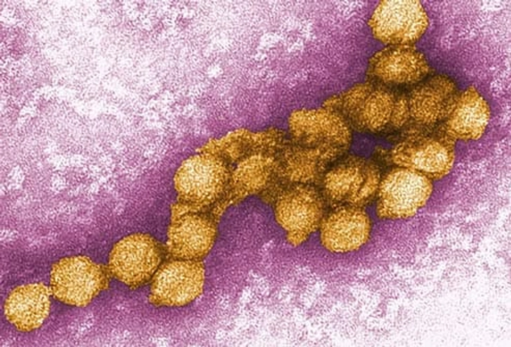 West Nile West Nile