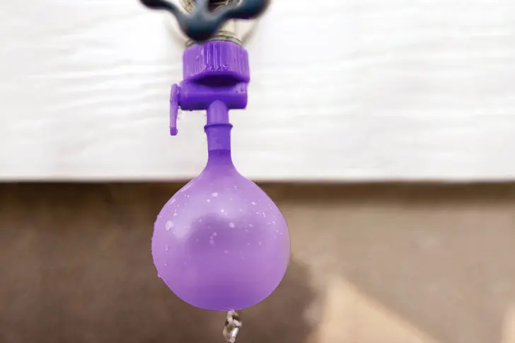 Myth: Small Bladder, Big Problems Myth: Small Bladder, Big Problems