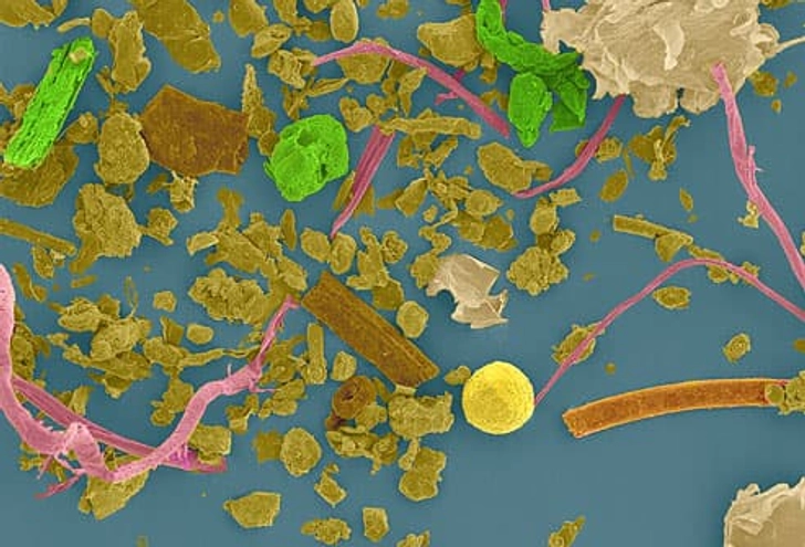 Ways to Curb Allergens