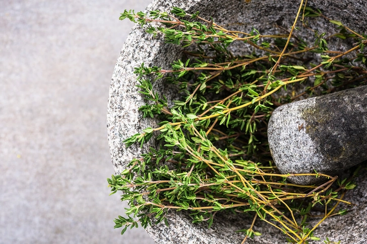 Herbs