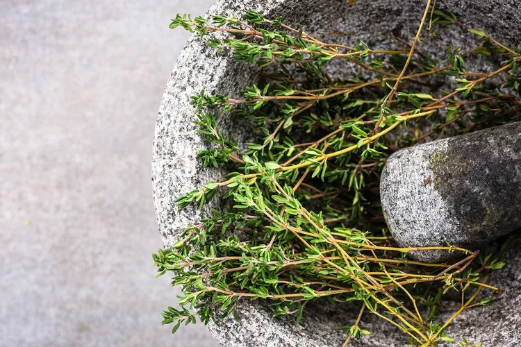 photo of ground thyme in mortar