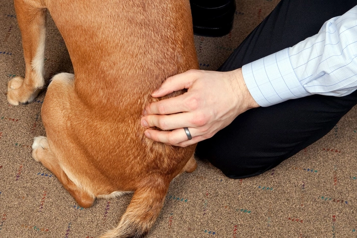 Chiropractic Chiropractic