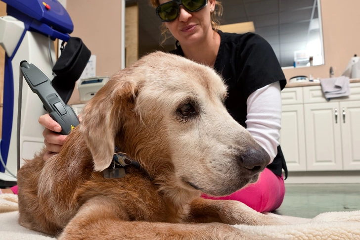 Laser therapy Laser therapy
