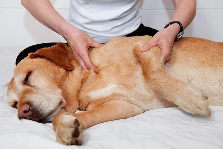 Osteopathy Osteopathy