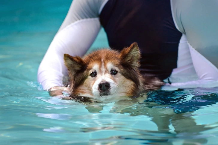 Hydrotherapy Hydrotherapy